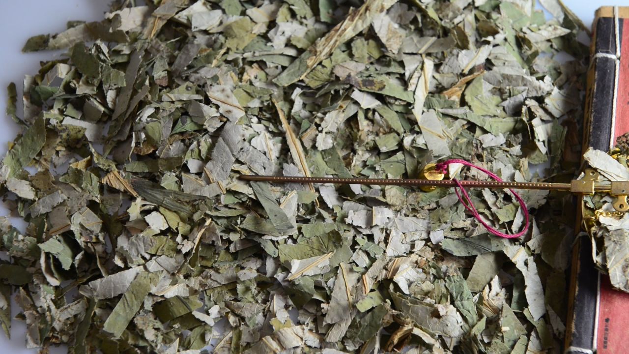 荷叶中药材 31