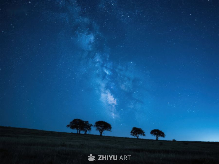 夜空银河与树影 394