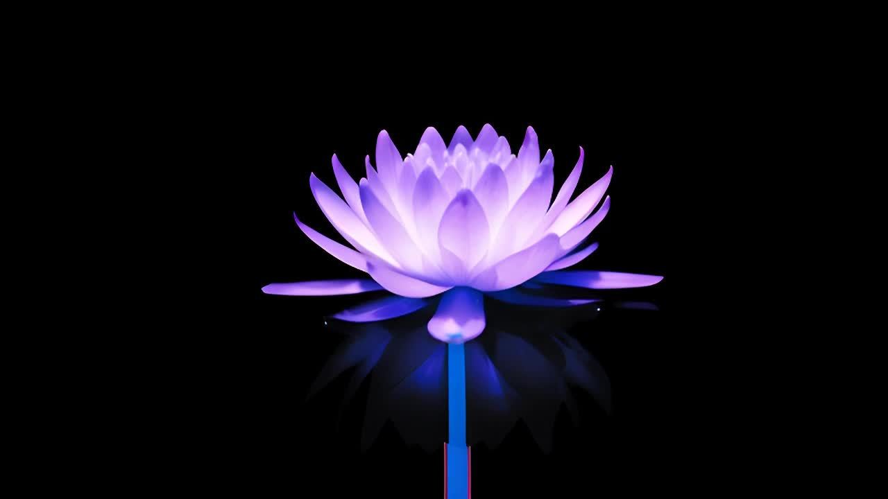 一朵发光的莲花从深色背景中显现，花瓣散发出柔和的紫