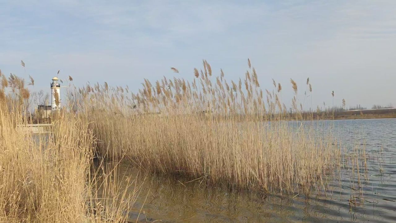 湖景