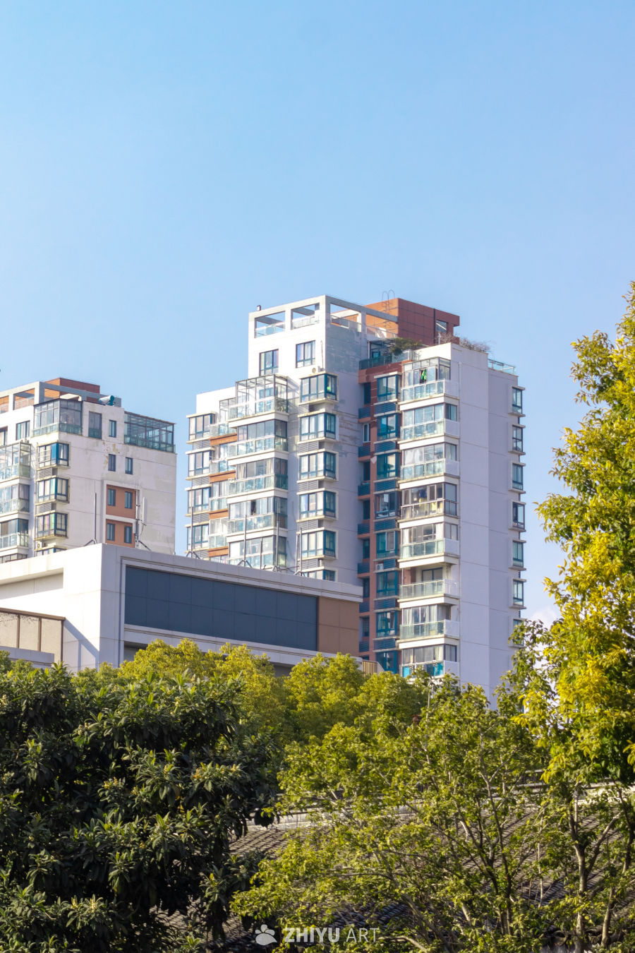 现代都市的宁静一角