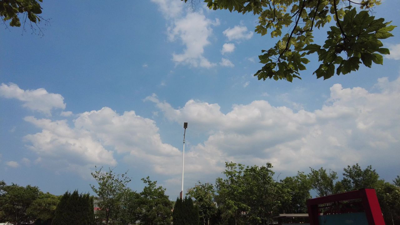 蓝天白云绿色植物树枝树叶夏日风景实拍 