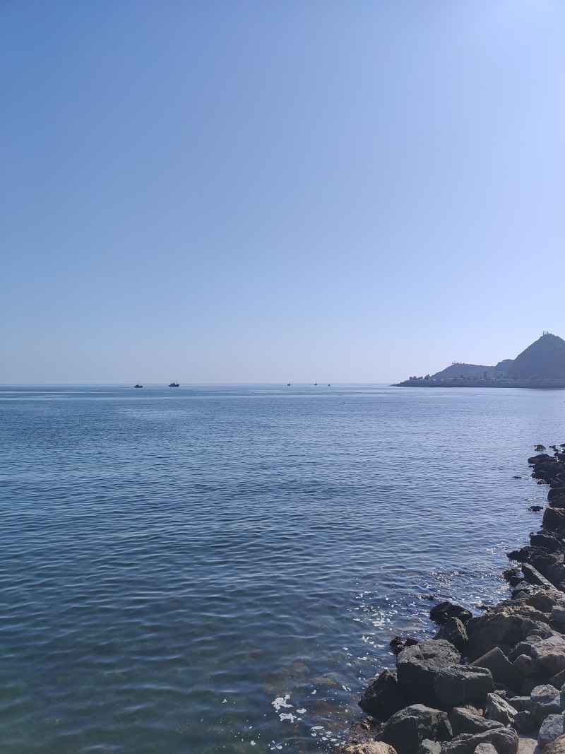 大海礁石