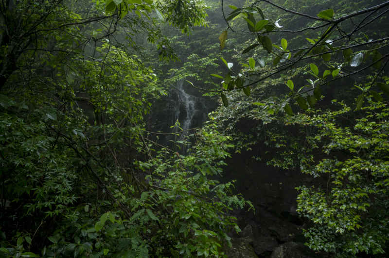 大美武功山 26