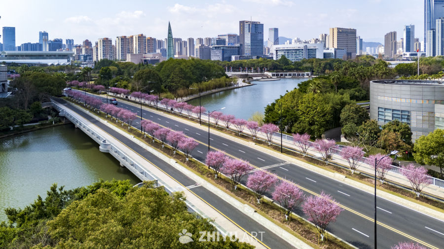 城市河畔的春天
