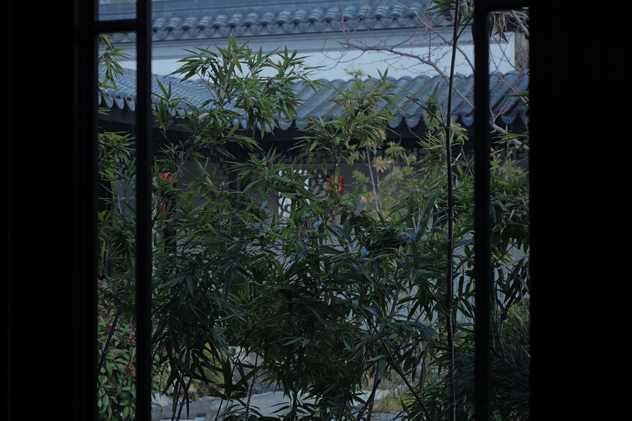 江南园林竹子 6k视频