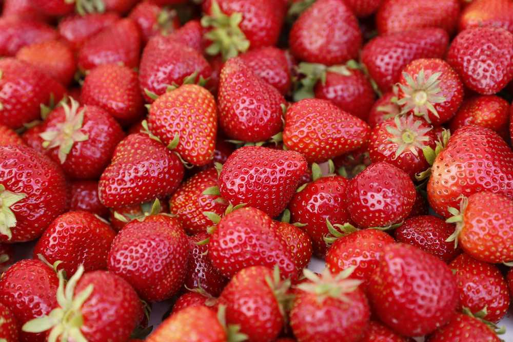 草莓莓果美味