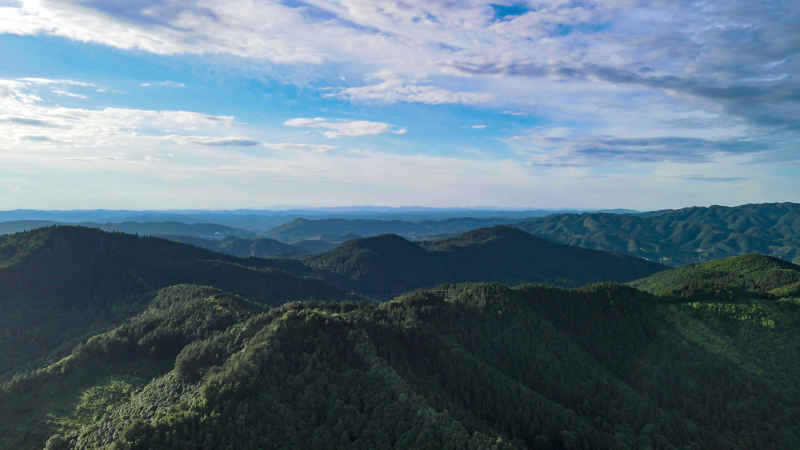 湖南怀化中坡山森林公