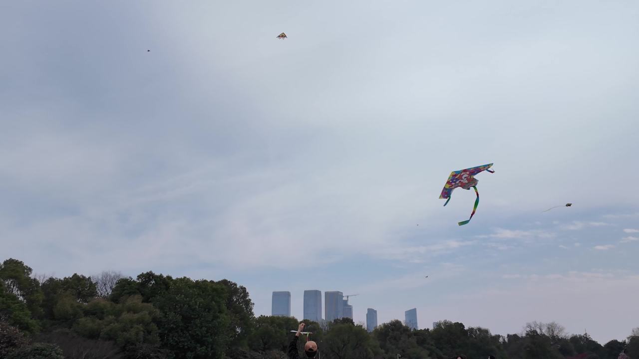 长沙 33