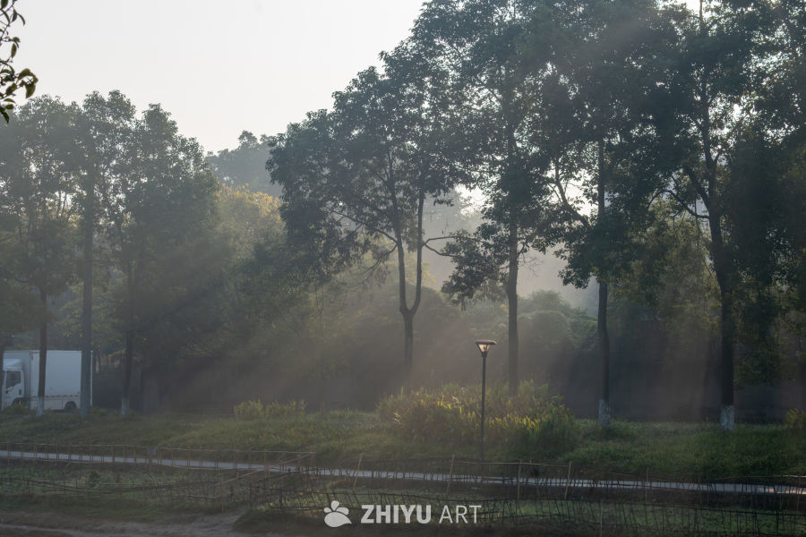 晨光（丁达尔效应）