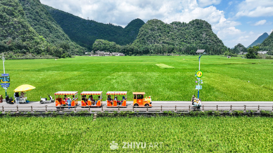 贵州兴义万峰林稻田 14