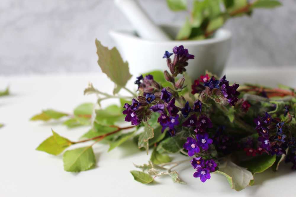 药花治愈软膏