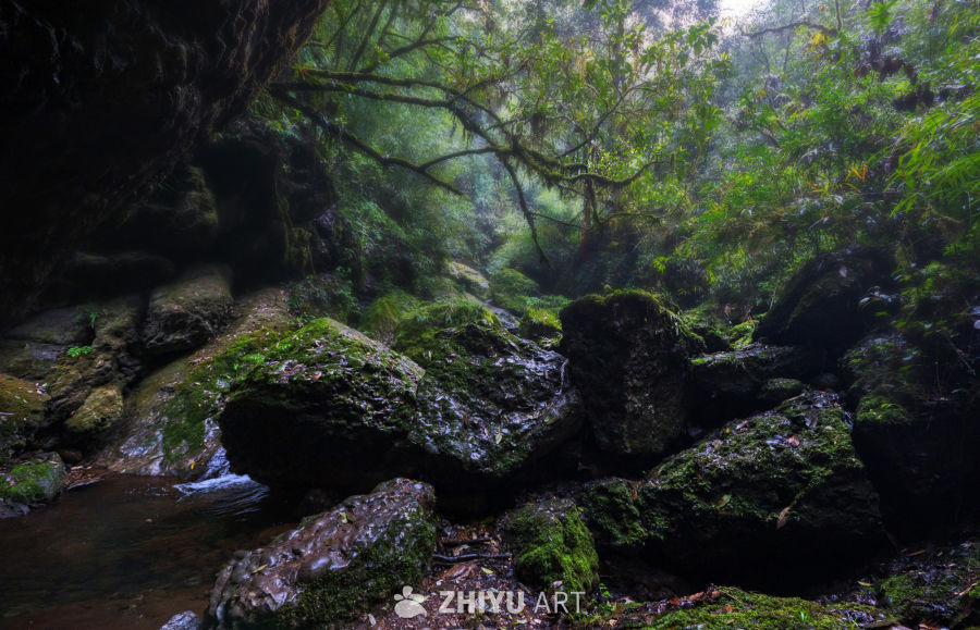 青城后山