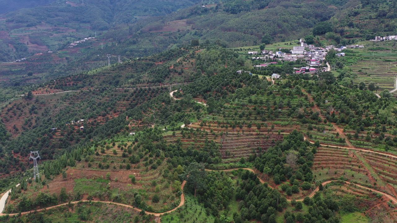 坚果基地 1