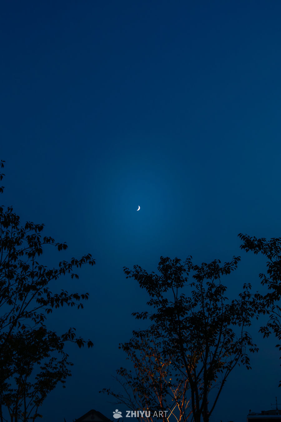 新月夜景