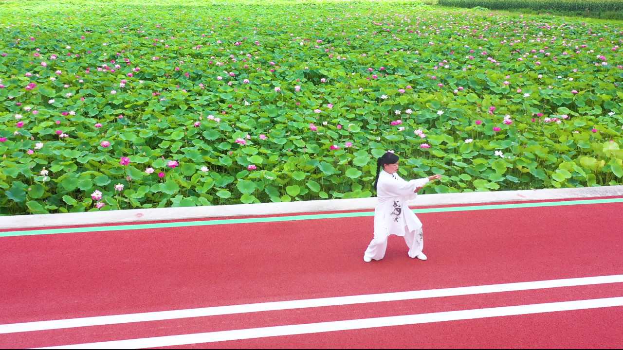 湿地公园太极八段锦全民健身锻炼幸福生活