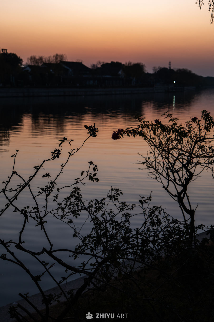 黄昏湖畔的剪影之美
