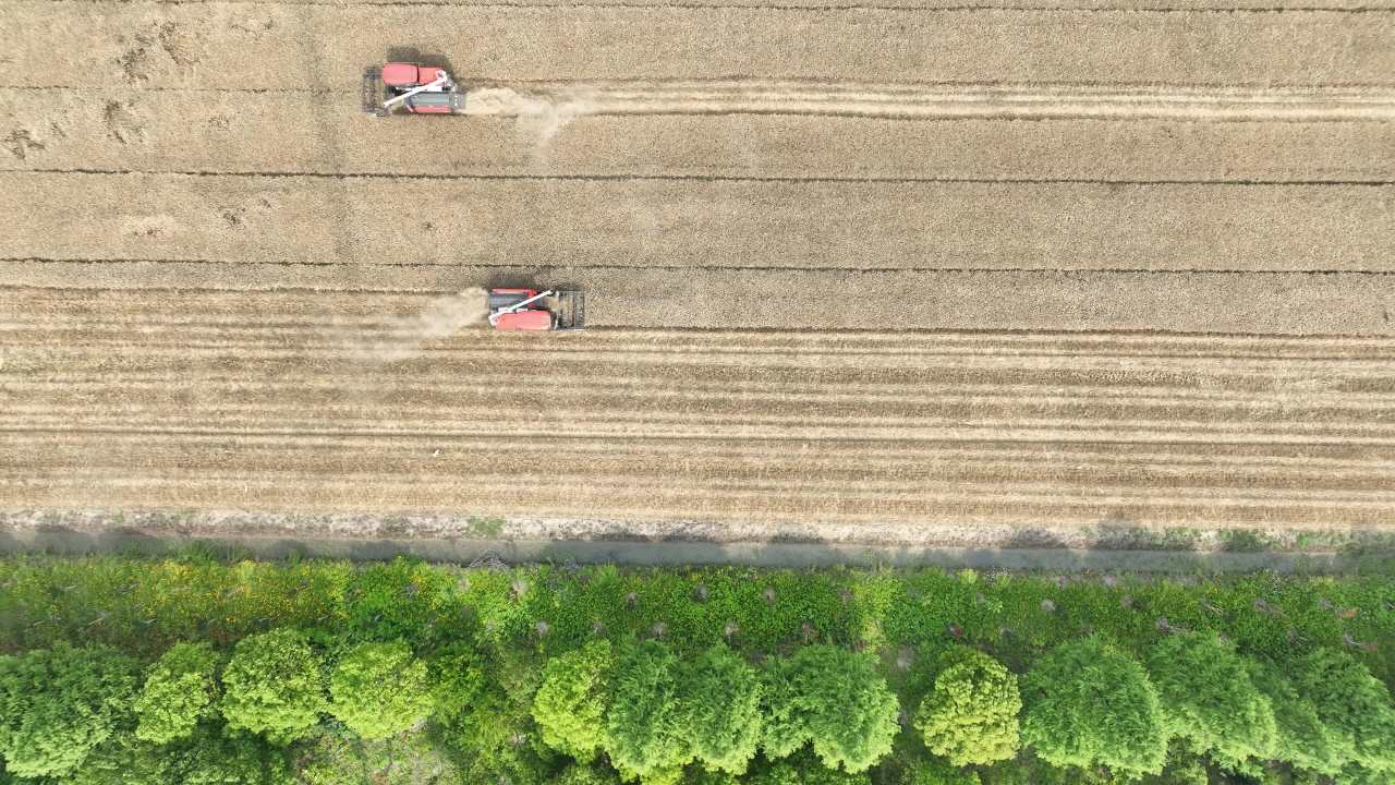航拍夏收农忙时节 13