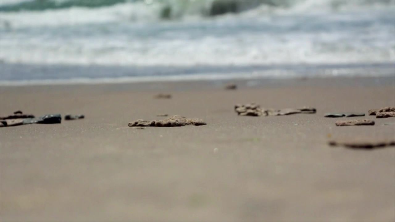 海滩足迹走沙