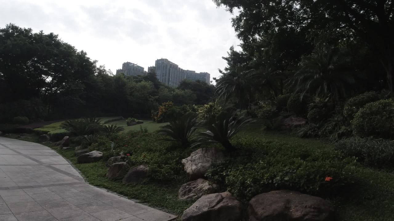 公园 11