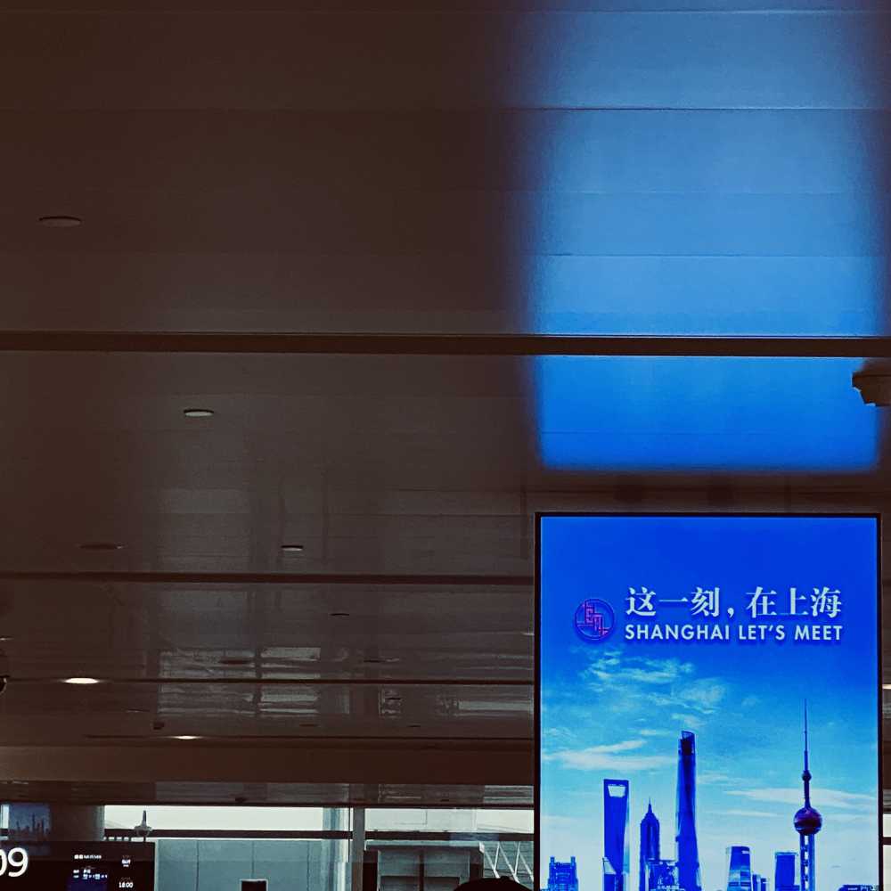在上海