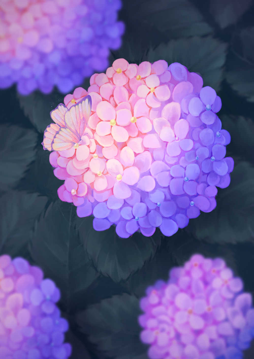夏日盛开粉紫色绣球花唯美场景插画