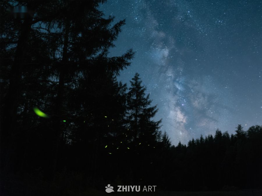 夜空银河与萤火虫共舞 449
