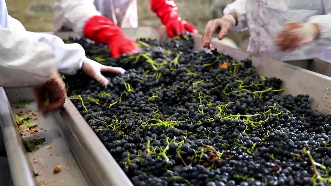 葡萄酒庄园