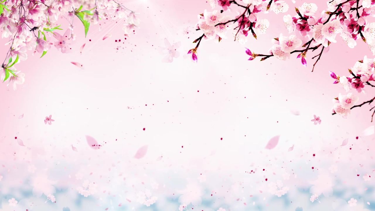 温馨粉色动态视频 