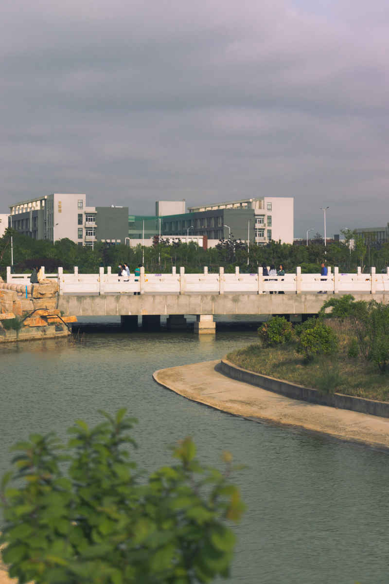云下桥梁漫步
