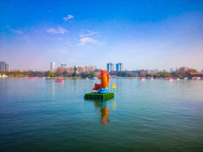 湖南长沙烈士公园年嘉湖风景摄影图