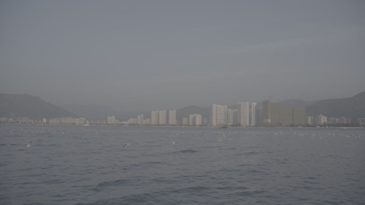海平面起飞的海鸥