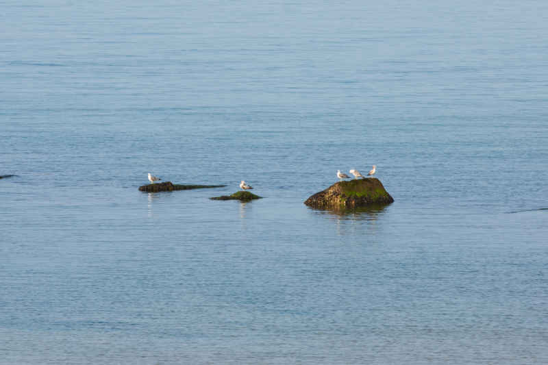 威海海螺湾 6