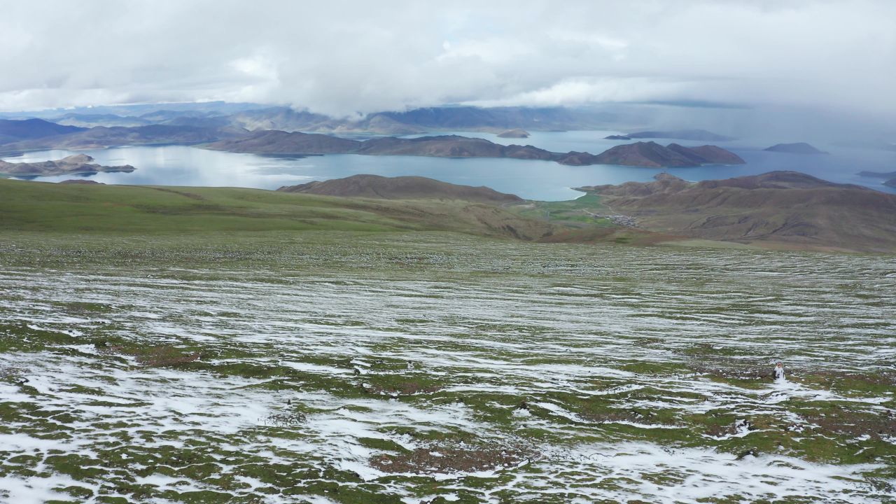 航拍雪后羊卓雍措旁的高山草甸