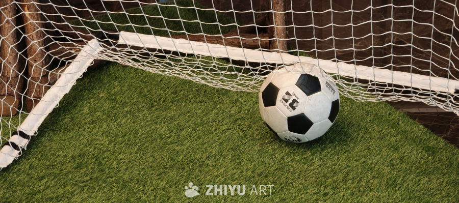 球门内的足球（苏超可用素材）