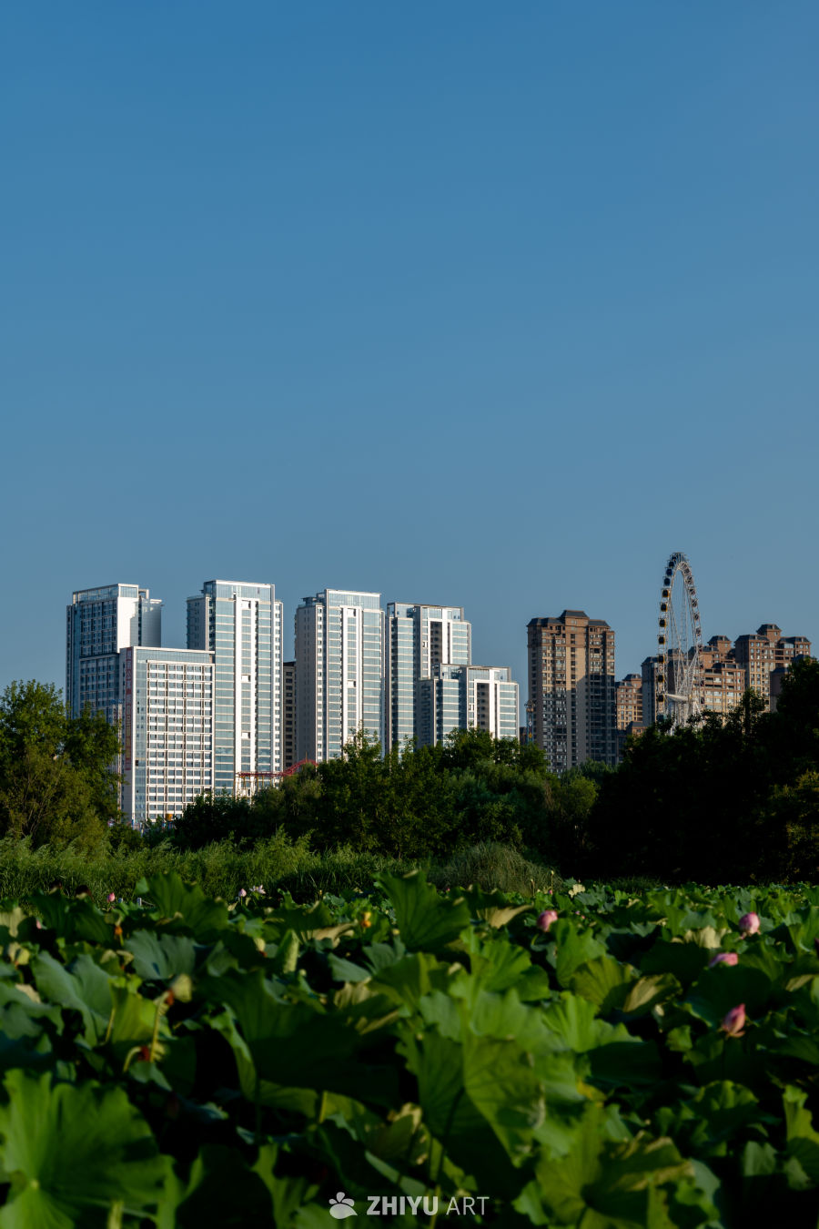 城市一角 85