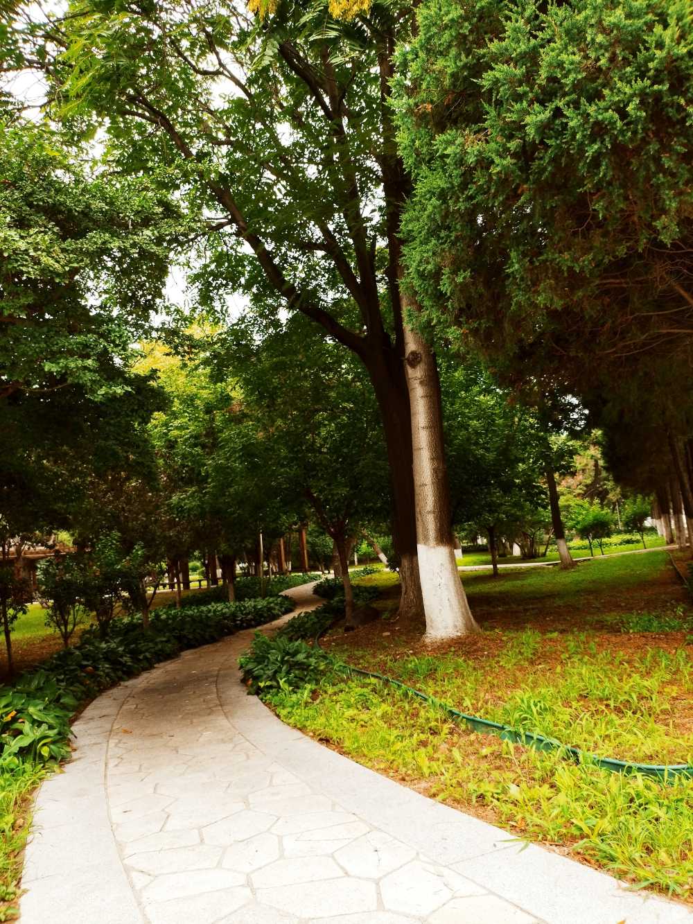 东北大学风景2