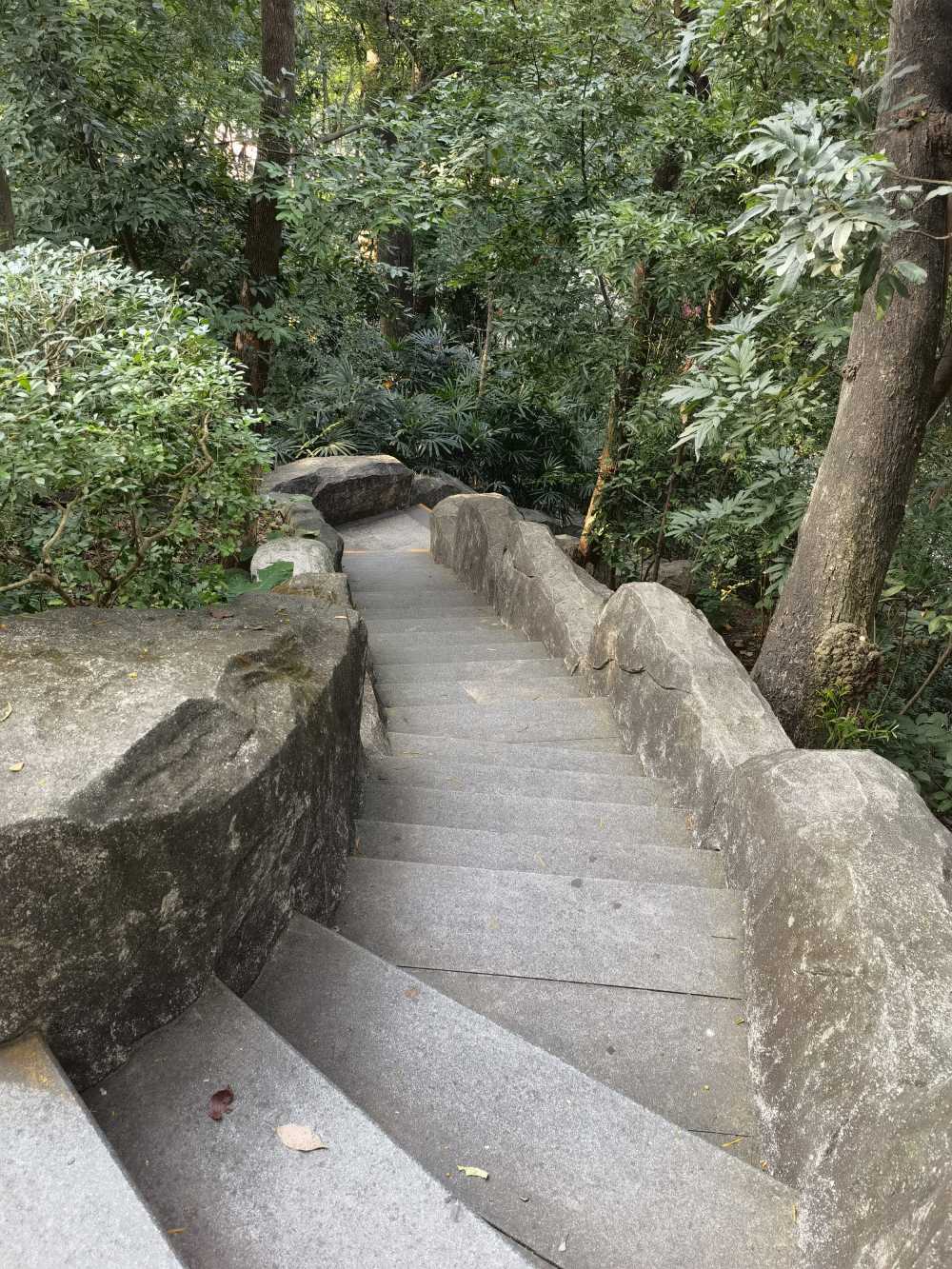 风景