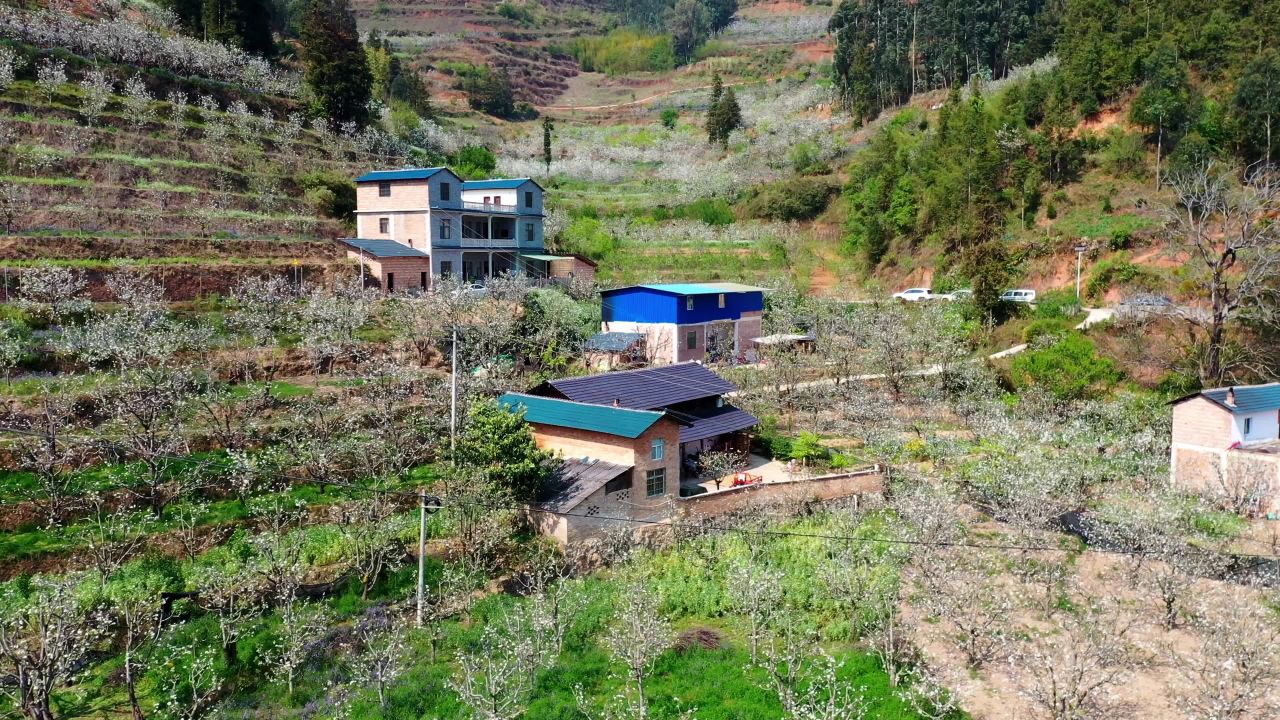 乡村春日梯田风光