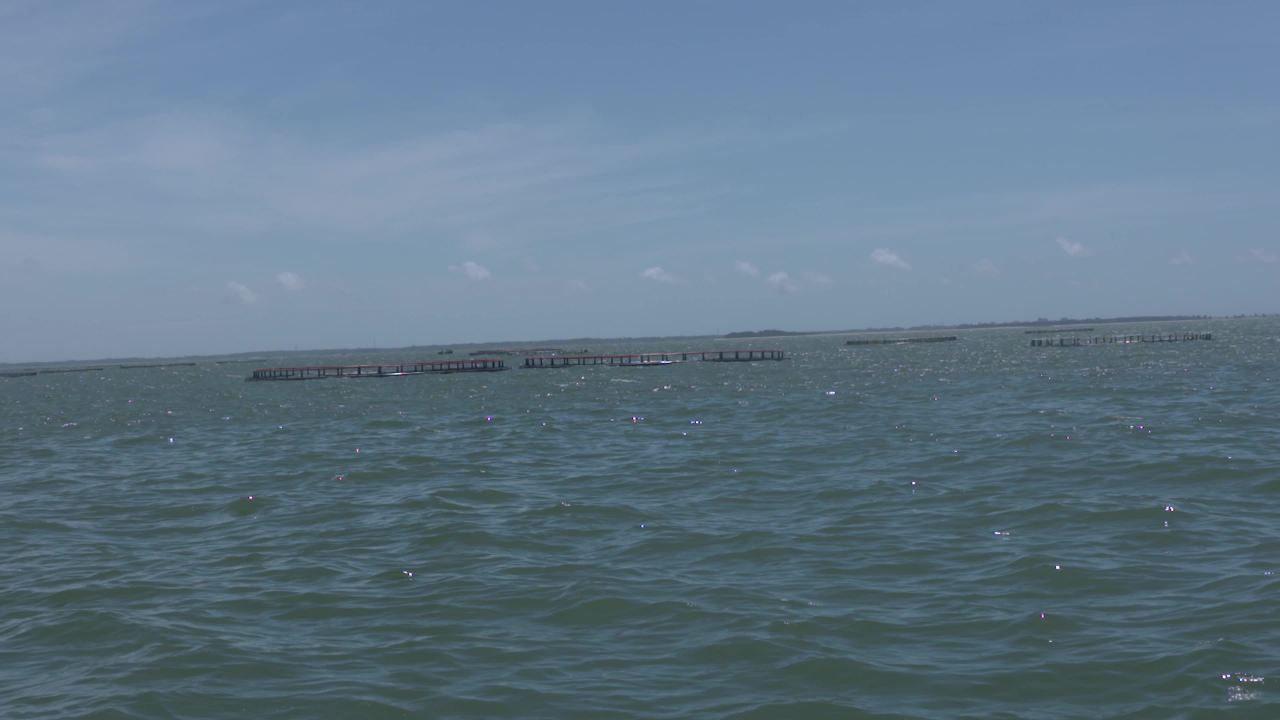 海洋牧场深海养殖