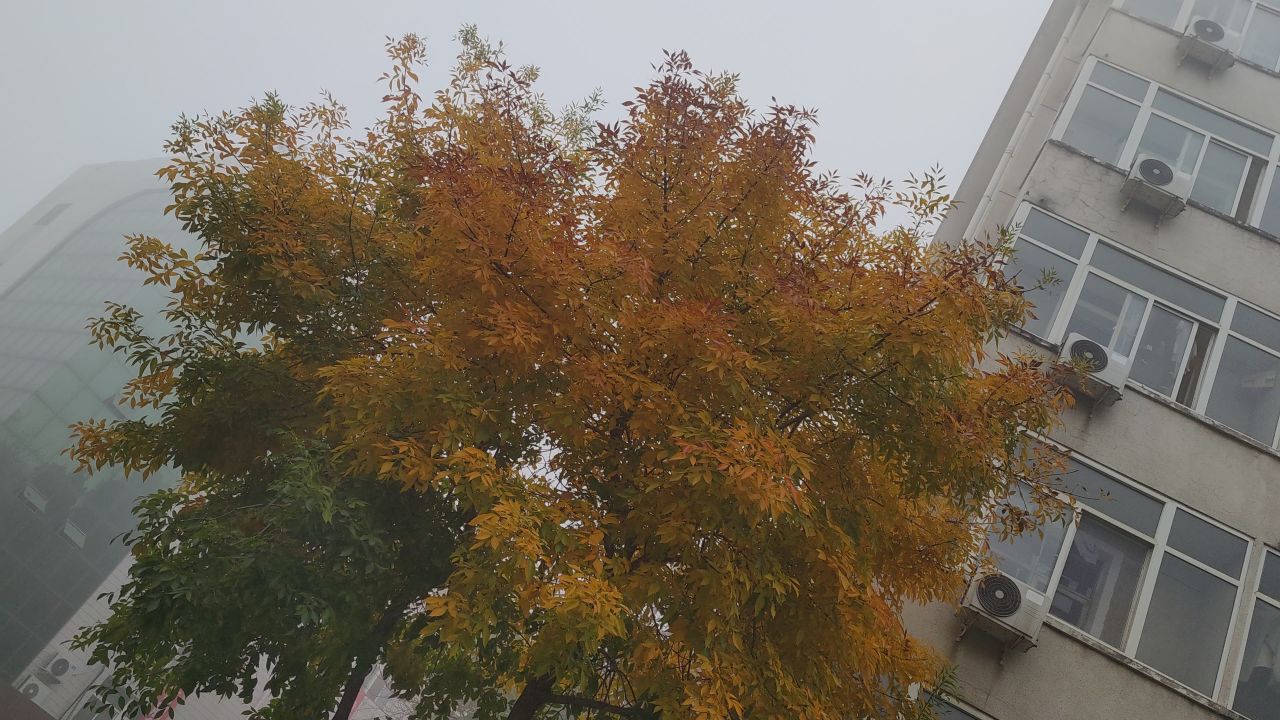 大学 保定 16