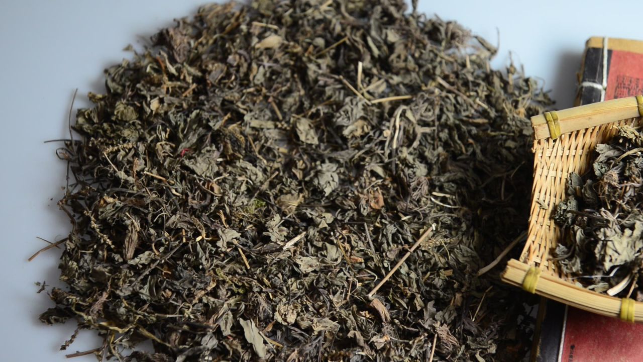 中药材车前草 7