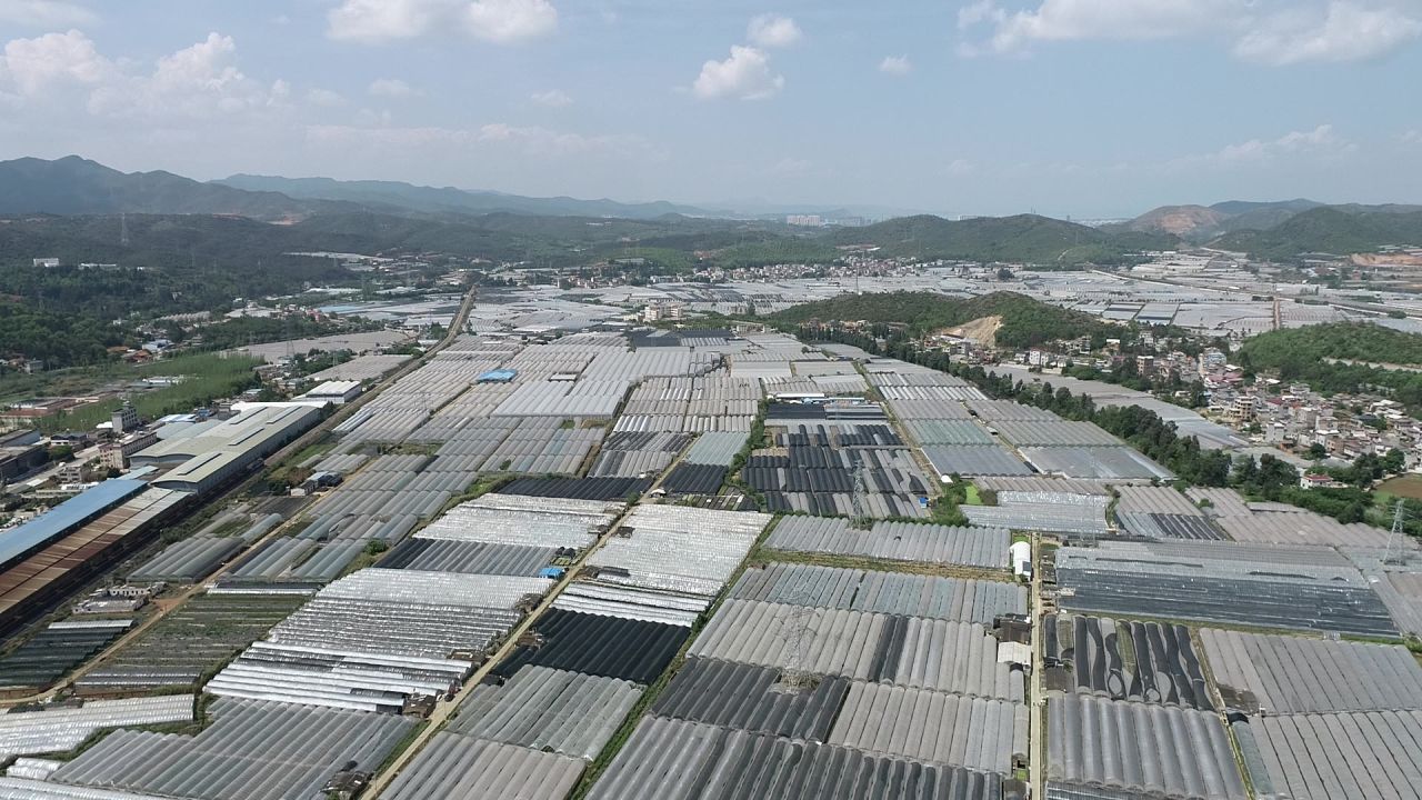 塑料大棚 蔬菜花卉种植基地1