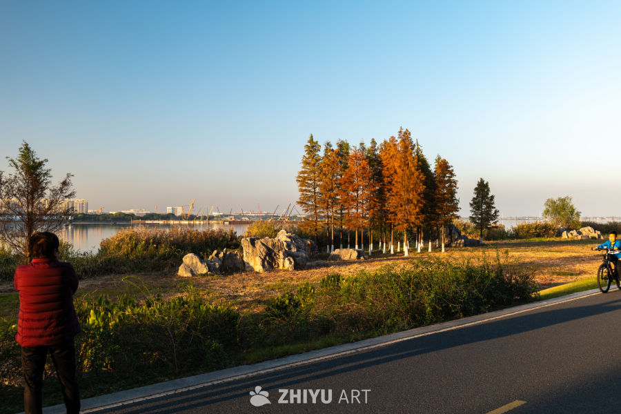 湖畔秋日：骑行与静赏