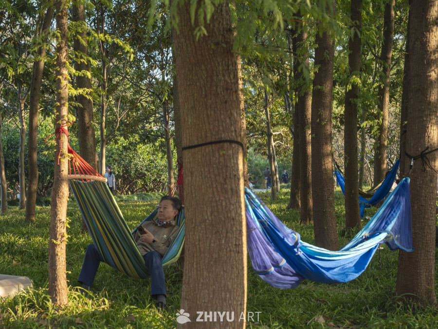 公园吊床中的宁静时光