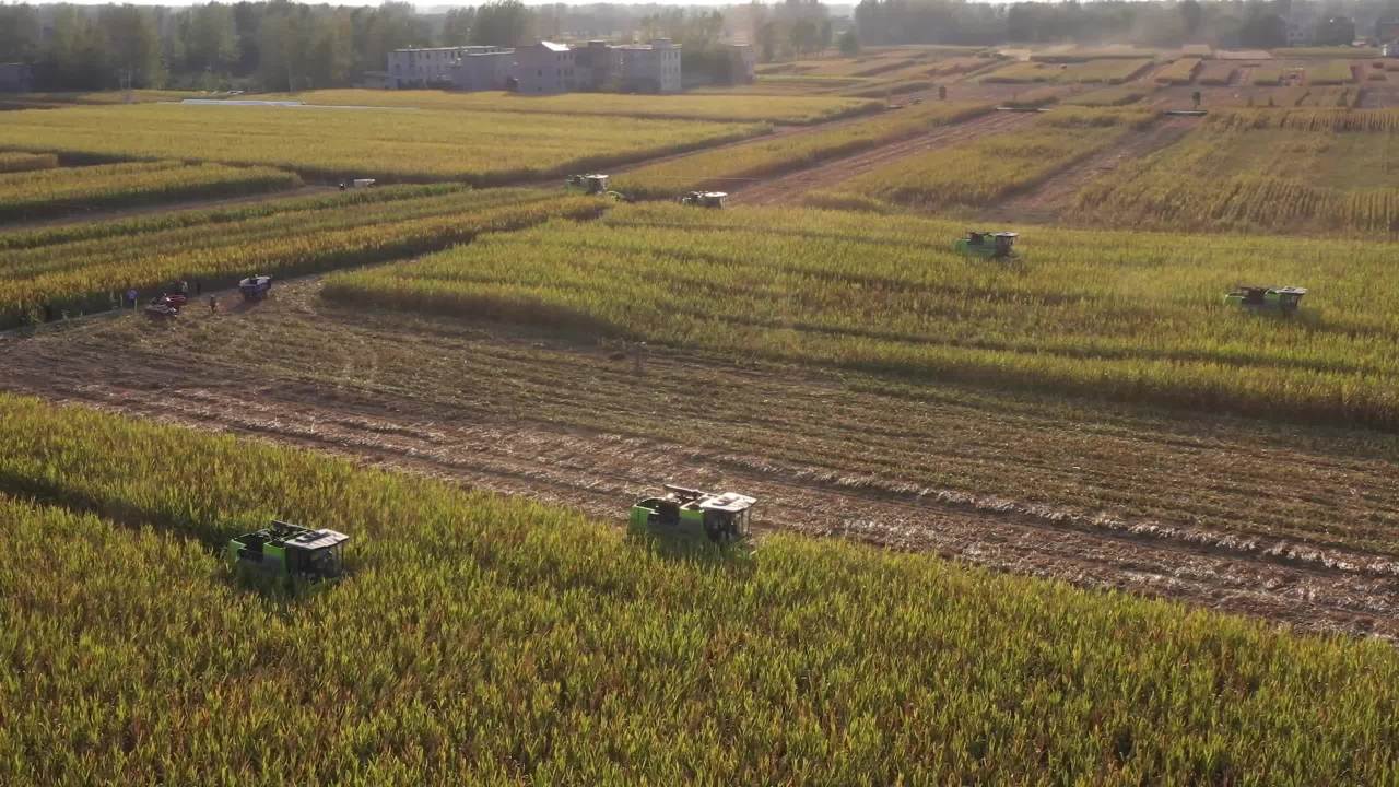 玉米地收割机