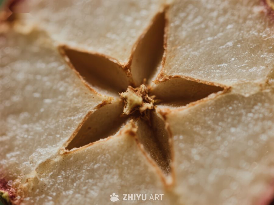 苹果切面的星形种子结构 367