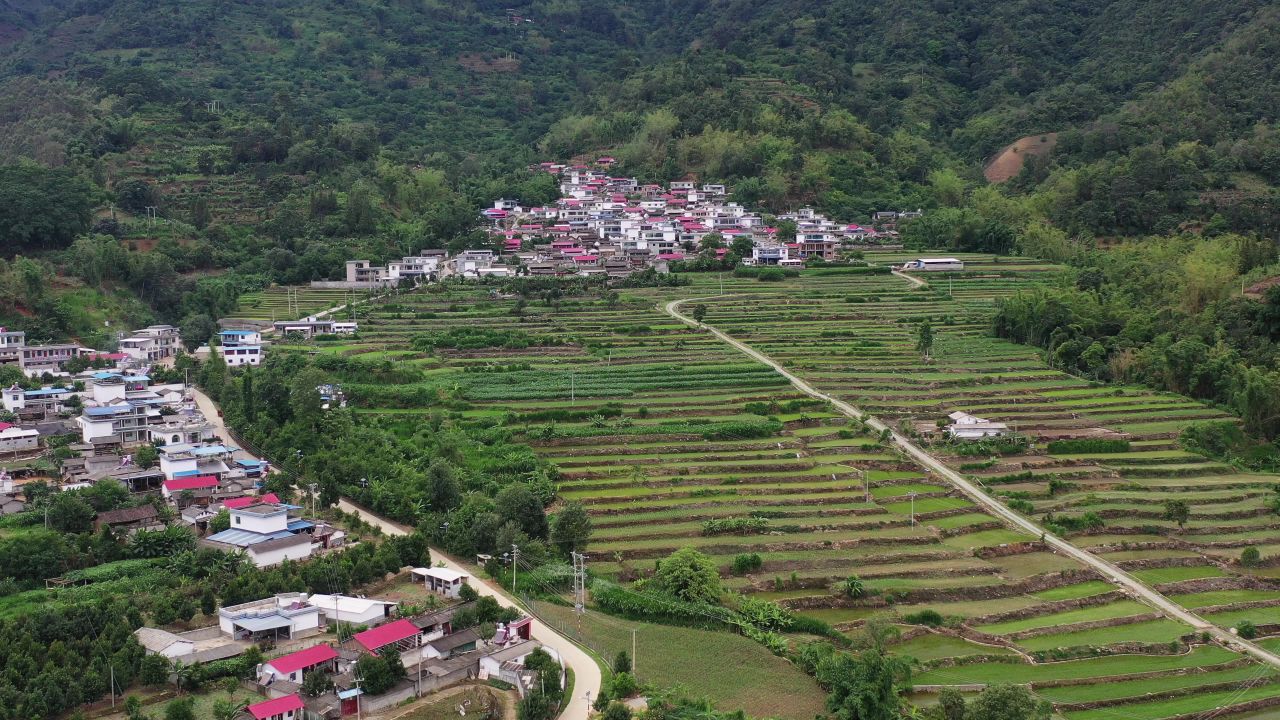 坚果基地 2
