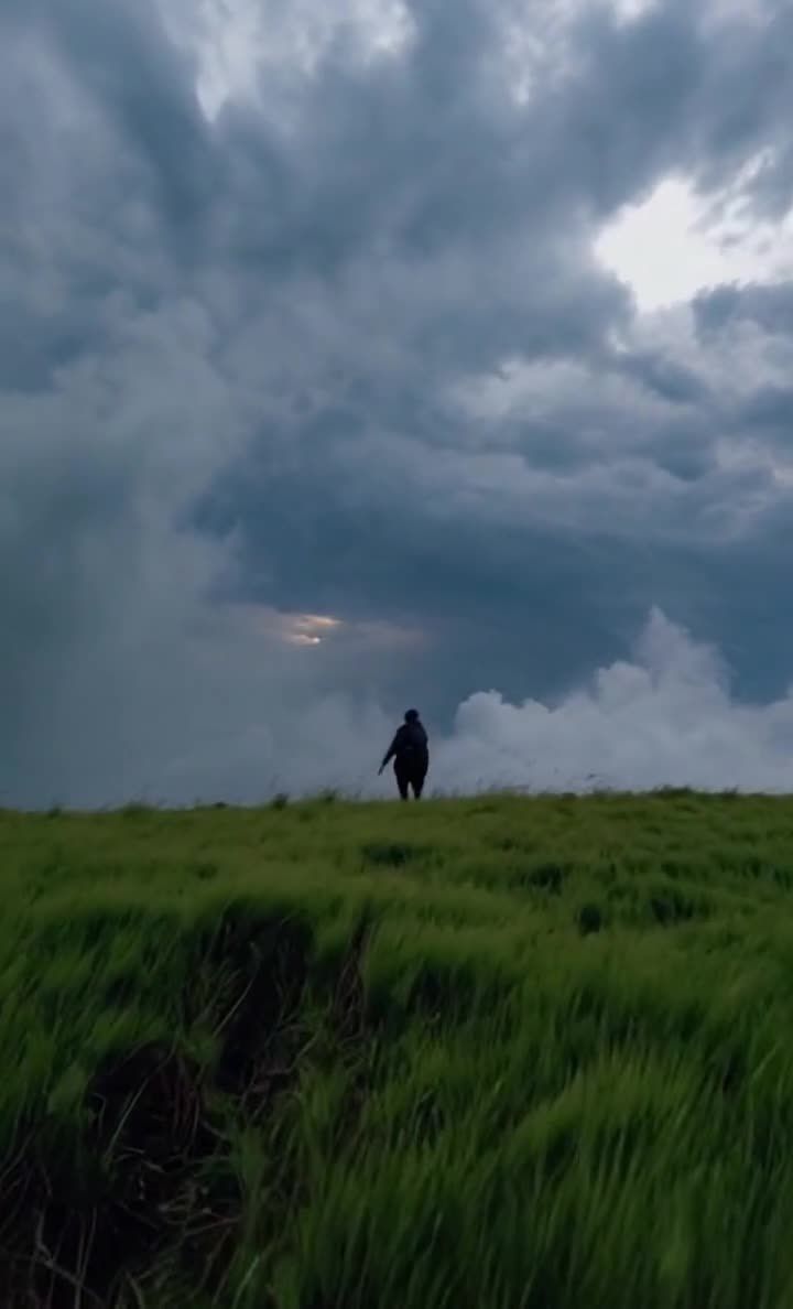 狂风暴雨中逆行，草地，低视角，乌云压境。