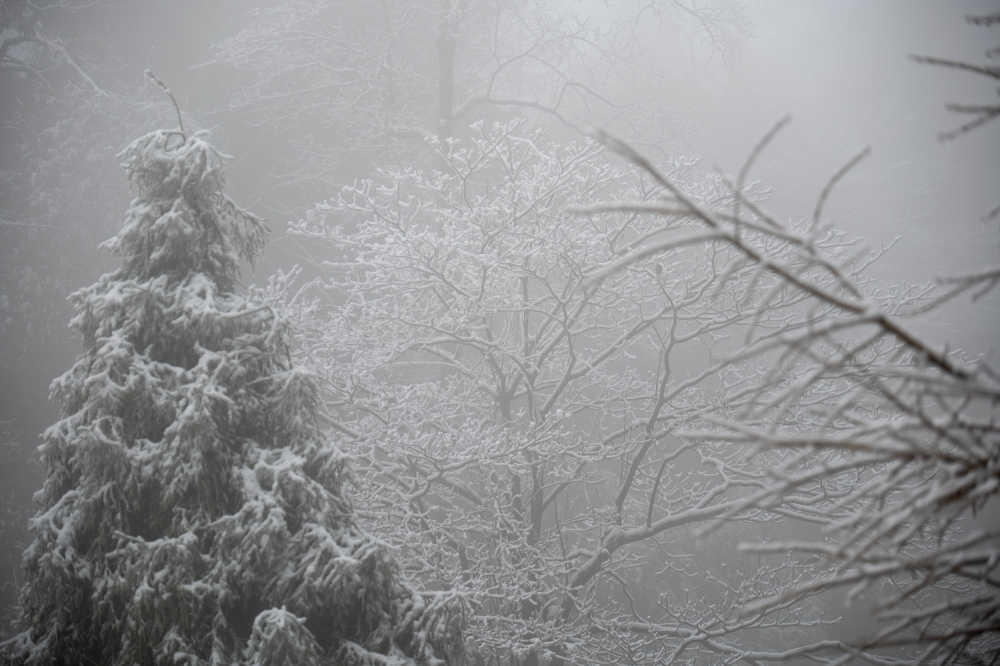 青城山雪景